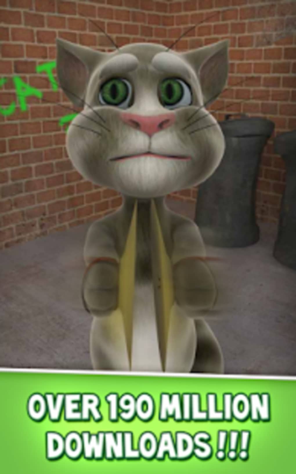 Crazy Cat For Android Free Download